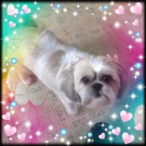 Meet your Posher, Tammy